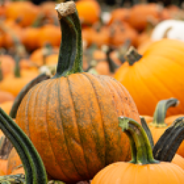 October Savings Blueprint: Smart Strategies to Stay Within Your Holiday Budget