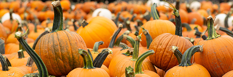 October Savings Blueprint: Smart Strategies to Stay Within Your Holiday Budget