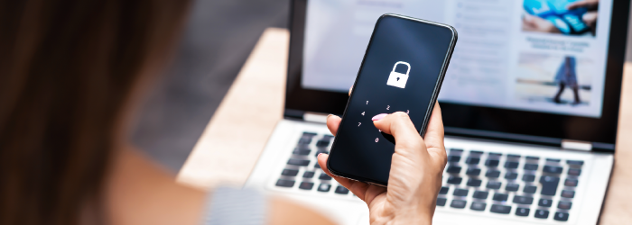 How Businesses and Individuals Can Avoid Fraud