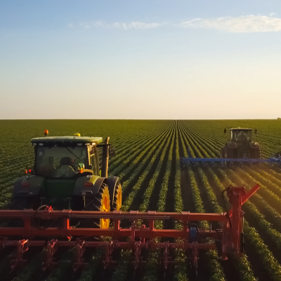 tractors in field tending soybean crop